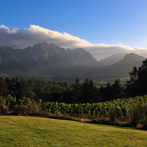 老妹儿 - Termination of Desires 何妄何执