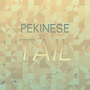 Pekinese Tail