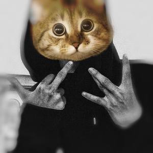 所谓搞说唱（包括我）