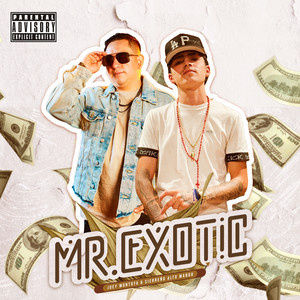 Mr. Exotic (Explicit)