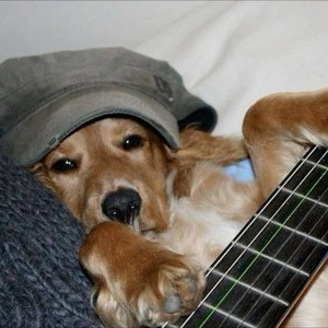 at least i can say i only got bullied once (Explicit)