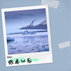 你走以后