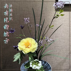 辛禄乐队 - 自己的伞