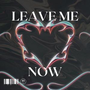 Leave Me Now