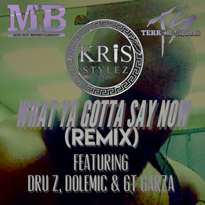 What Ya Gotta Say Now (Remix)