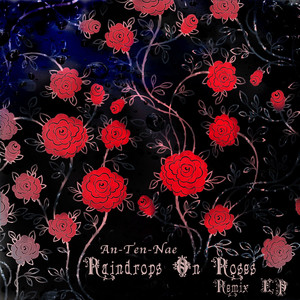 Raindrops On Roses Remix EP