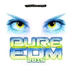 Pure EDM 2015