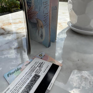 Illegal Alien (NO ID)