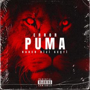 PUMA (Explicit)