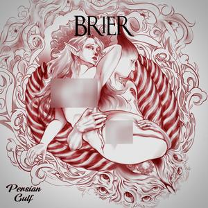 Brier (Explicit)