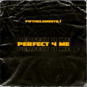 Perfect 4 Me (feat. CallMeJohnny & Armani Depaul) (Explicit)