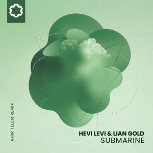 Submarine (Amir Telem Remix)