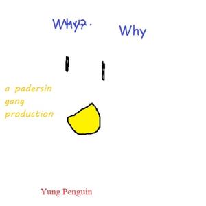 Why (Explicit)