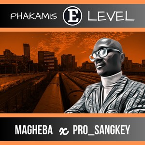 Phakamis E Level