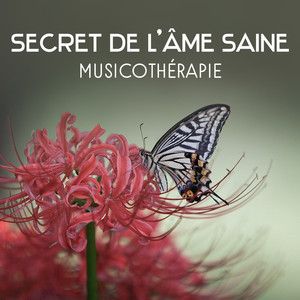 Secret de l'âme saine – Musicothérapie, Se détendre et concentrer, Calmer son stress, Guérison spirituelle, Musique apaisante, Sons de spa