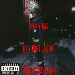 They Dont Like Me (Explicit)