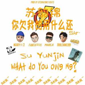 苏韵锦你欠我的用什么还