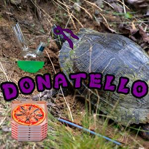 Donatello (Explicit)