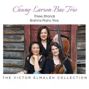 Chung - Piano Trio No. 2 in C Major, Op. 8 - IV. Finale. Allegro