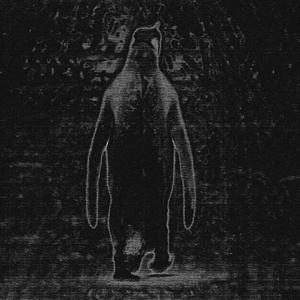 stonky (feat. BINEC) (Explicit)