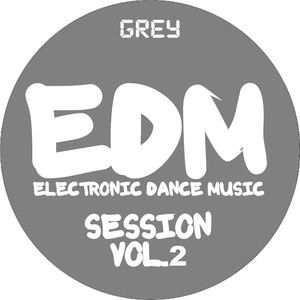 EDM Electronic Dance Music Session, Vol. 2 (Grey) [Explicit]