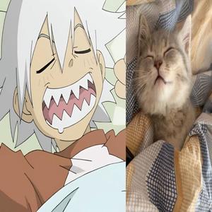 superficial (Explicit)