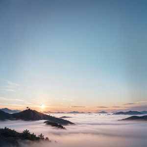 Coral Holds the Memory