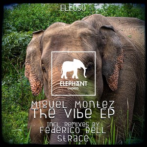 The Vibe (Strace Remix)