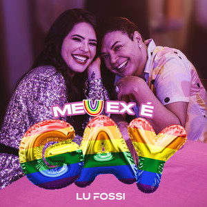 Meu Ex é Gay