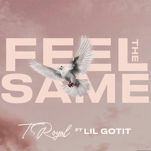 Feel The Same [feat. Lil Gotit] (Explicit)