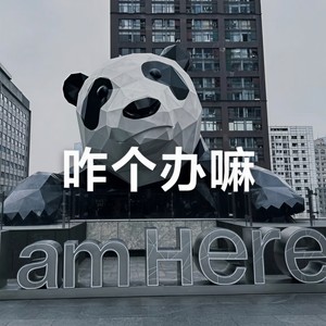 咋个办嘛 (和声伴奏)