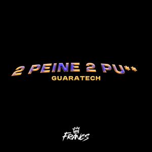 2 PEINE (Guaratech)