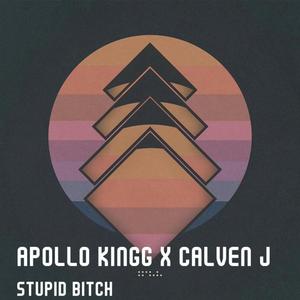 Stupid ***** (feat. Calven J) [Explicit]