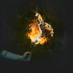 Mergulho (Ao Vivo No Wasabi Cultura)