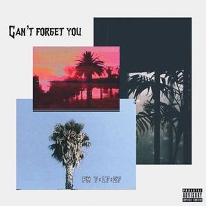 Can't Forget You