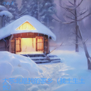 张三的歌 (氛围版)