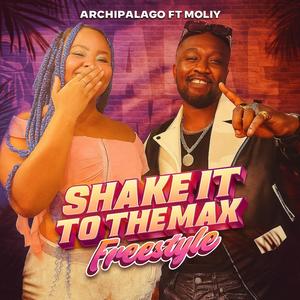 Shake It To The Max (Freestyle) (Explicit)