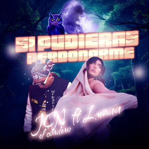 Si pudieras perdonarme (feat. Lunaa)