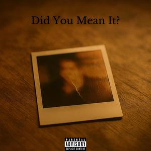 Did You Mean It? (Explicit)