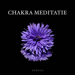 Chakra Meditatie - Panfluit Muziek