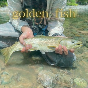 Golden Fish