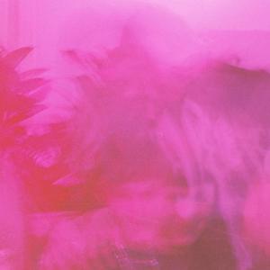 Wildflower (feat. January)