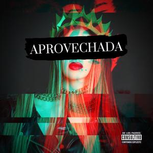 Aprovechada (Explicit)