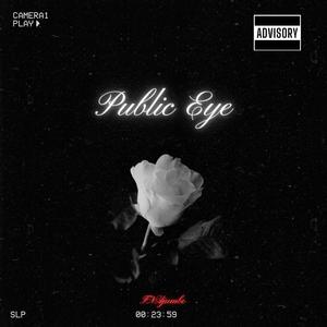 Public Eye (Explicit)