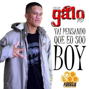 Vai Pensando Que Eu Sou Boy