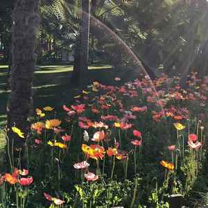 爱的回归线(心是你的就不会走远)-ProdbyMend&是小艾同学