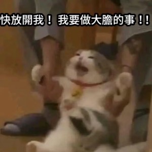 sisconsavior - 【1】近7成年轻人偷偷消费升级，钱都败在了这里丨2024年度「消费升级」报告