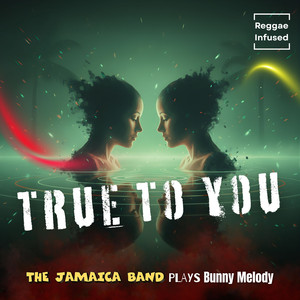 Never Love This Way Again (Reggae EDM Rastaman Edit)