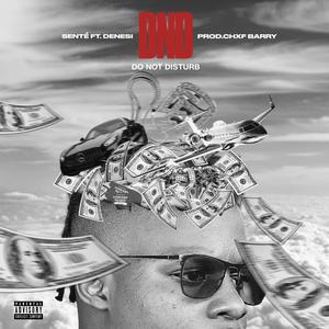 DND (feat. Denesi & Chxf Barry) [Explicit]