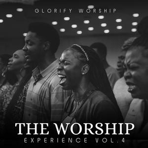 The Worship Experience, Vol. 4